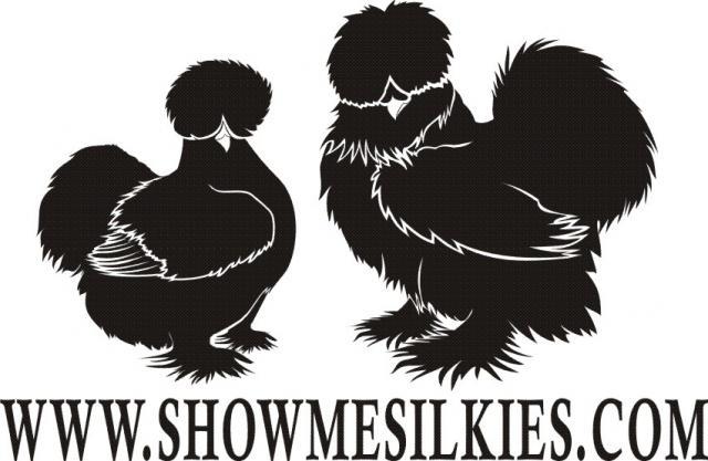 20317_showmesilkies.jpg