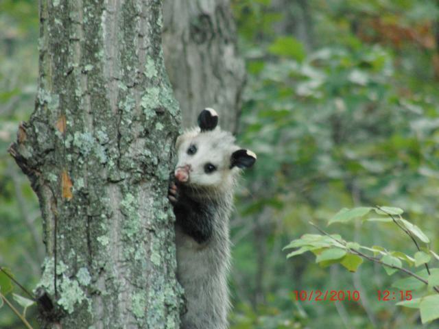 20346_cimg0424.jpg