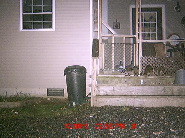 20346_mdgc0315.jpg