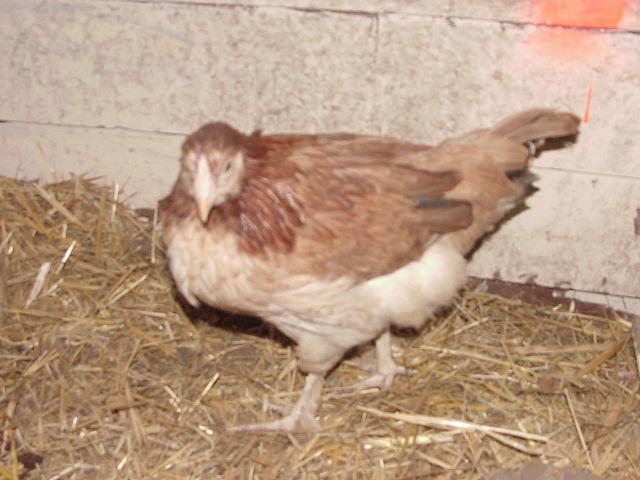 20346_mvc00088.jpg