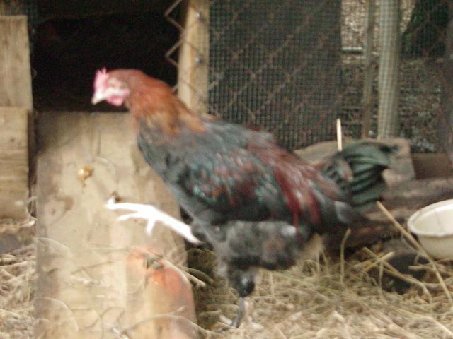 20346_mvc00150.jpg