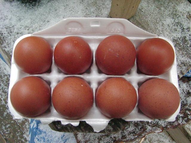 20346_picture_004.jpg