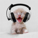 20381_kitten-in-headphones.gif