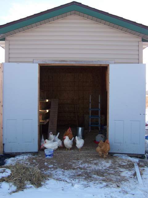 20382_jan31_109.jpg