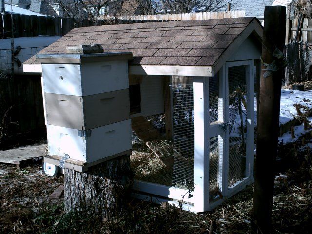 20391_chicken_coop2_12-08.jpg