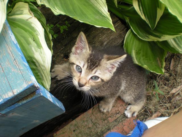 20405_fun_on_the_farm_010.jpg