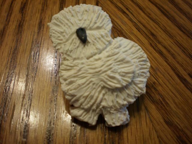 20413_pb211369.jpg