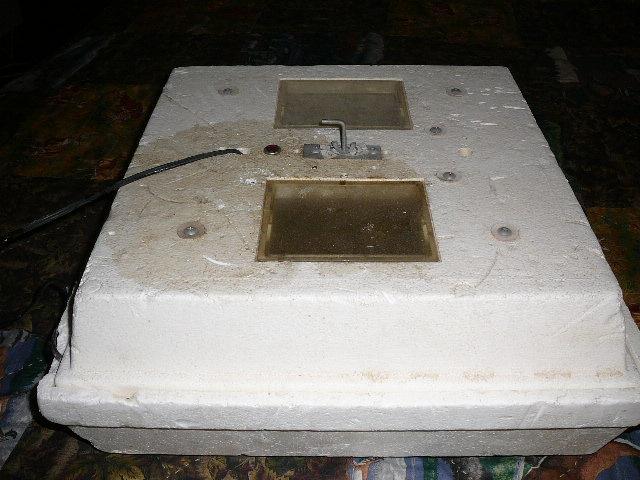 20473_p1030272.jpg