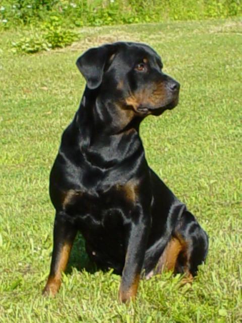 20567_gretchen_7_07-20.jpg
