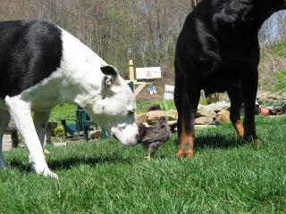 20567_img_0864.jpg