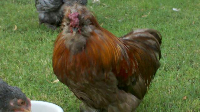 20590_2011-09-29_18-02-34_632.jpg