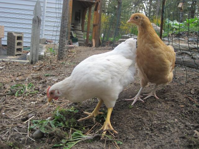 20705_img_3061.jpg