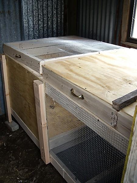 20708_the_new_big_brooder.jpg
