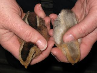 20714_img_0031.jpg
