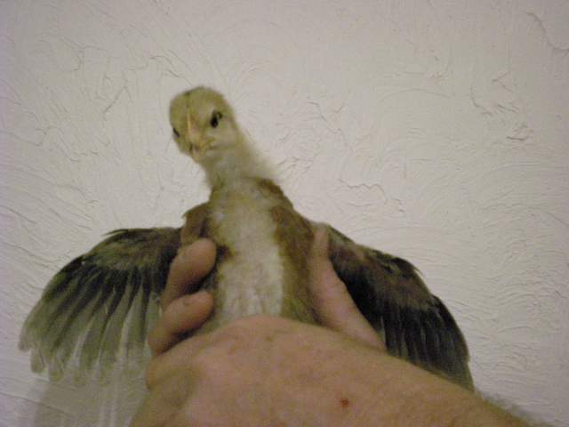 20727_dscn0621.jpg