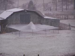 20958_december_2009_002.jpg
