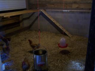 20958_november_09_036.jpg