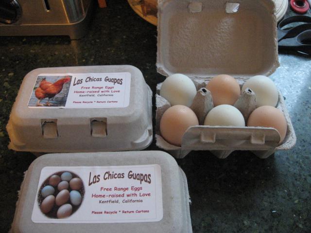 21016_newcartons6eggs.jpg