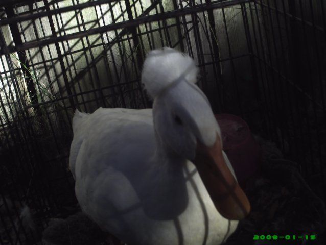 21032_picture_030.jpg