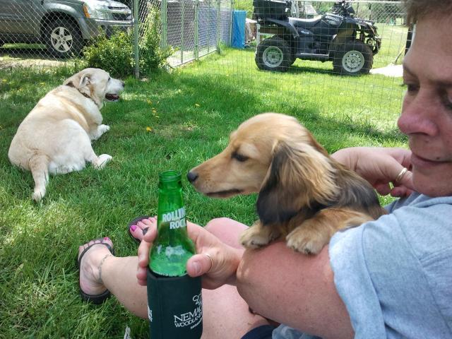 21099_2011-04-30_1340491.jpg
