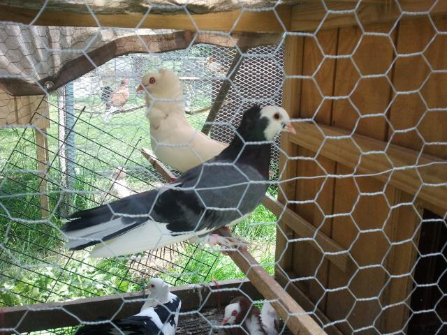 21099_2011-05-25_1421421.jpg