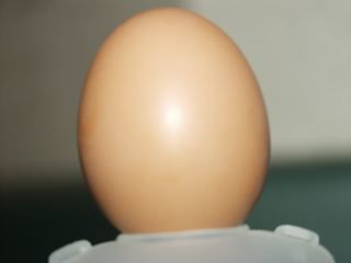 21169_egg.jpg