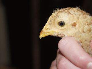 21169_unknown-3.jpg