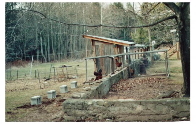 21251_old_coop_3.jpg