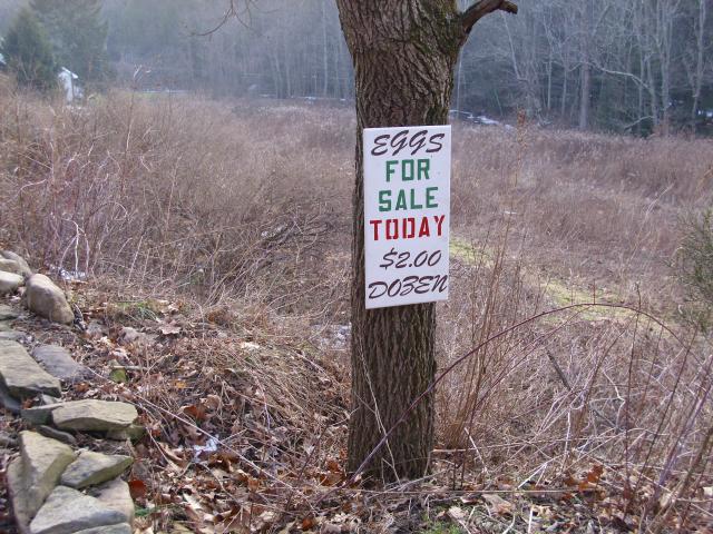 21251_picture_113.jpg