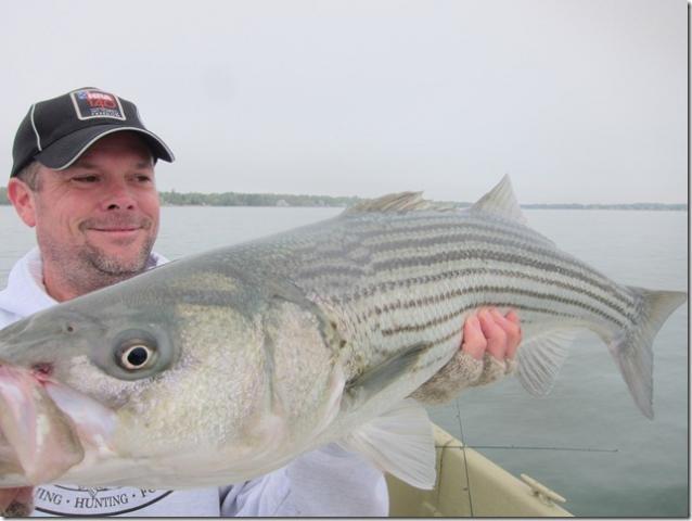 21297_striper51411.jpg