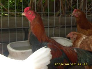 21433_dsci0524.jpg