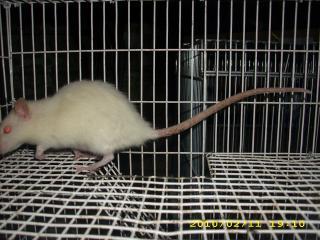 21433_dsci0716.jpg