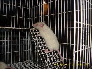 21433_dsci0719.jpg