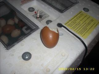 21433_dsci0752.jpg