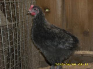 21433_dsci0930.jpg