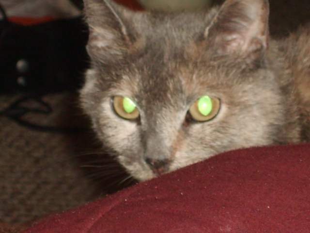 21598_pictures_007.jpg