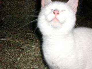 21730_010509_053.jpg