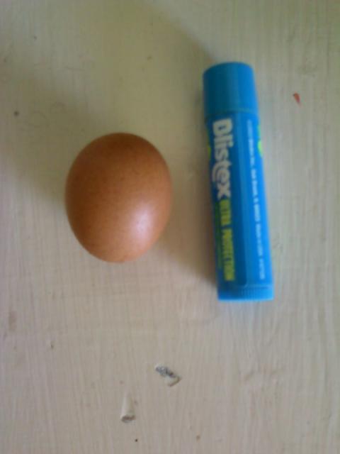 21755_mnm_egg.jpg