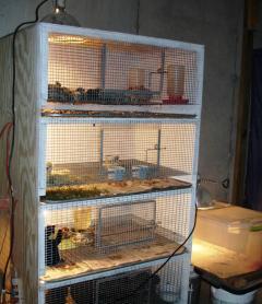 21841_brooders_and_housing_004.jpg