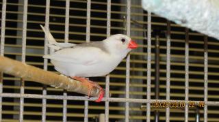 21930_birds_and_teddie_019.jpg
