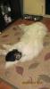 21930_birds_and_teddie_032.jpg