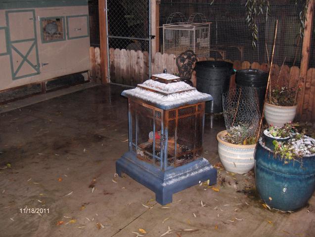 21930_eel_and_1st_snow_2011_005.jpg