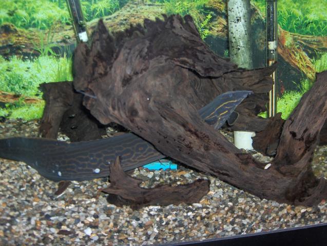 21930_latefall_2010_015.jpg