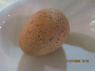 21930_new_egg_and_big_dog_002.jpg