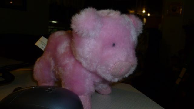 21930_pink_pig_001.jpg