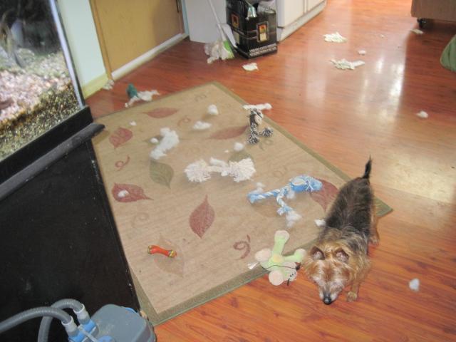 21930_rain_and_a_mess_013.jpg