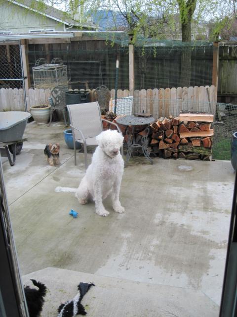 21930_rain_and_a_mess_017.jpg