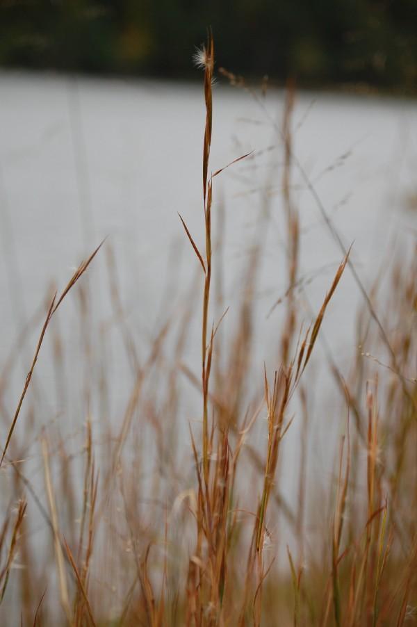 21968_l_0cf96068443c4630960fa7ab63e9b6b4.jpg