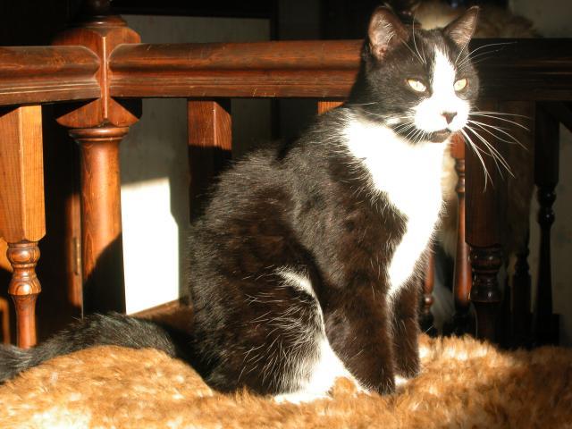 21969_dscn8262.jpg
