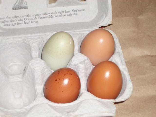 21997_firstee_egg2.jpg